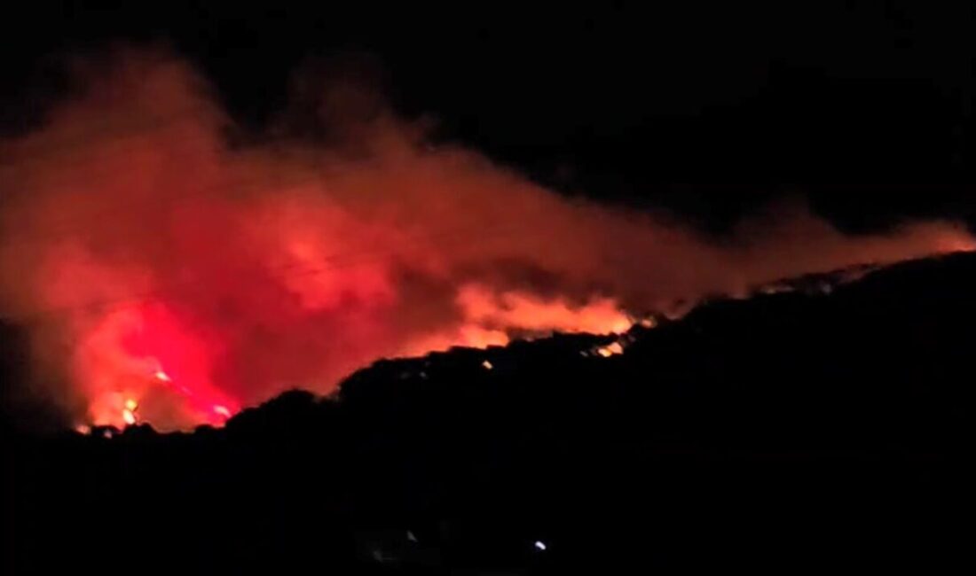 Muğla’nın Köyceğiz ilçesine bağlı Akköprü Mahallesinde meydana gelen orman yangınına