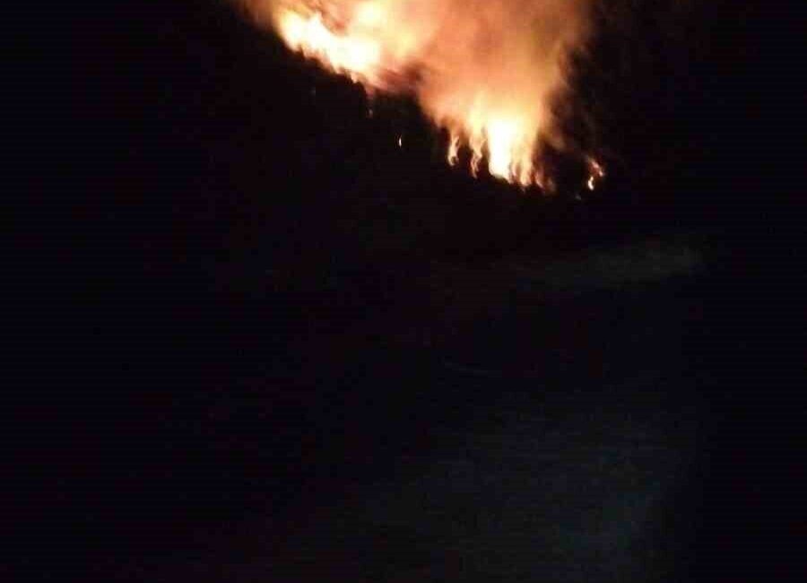 Muğla’nın Köyceğiz ilçesi Akköprü Mahallesinde meydana gelen orman yangınına ekipler