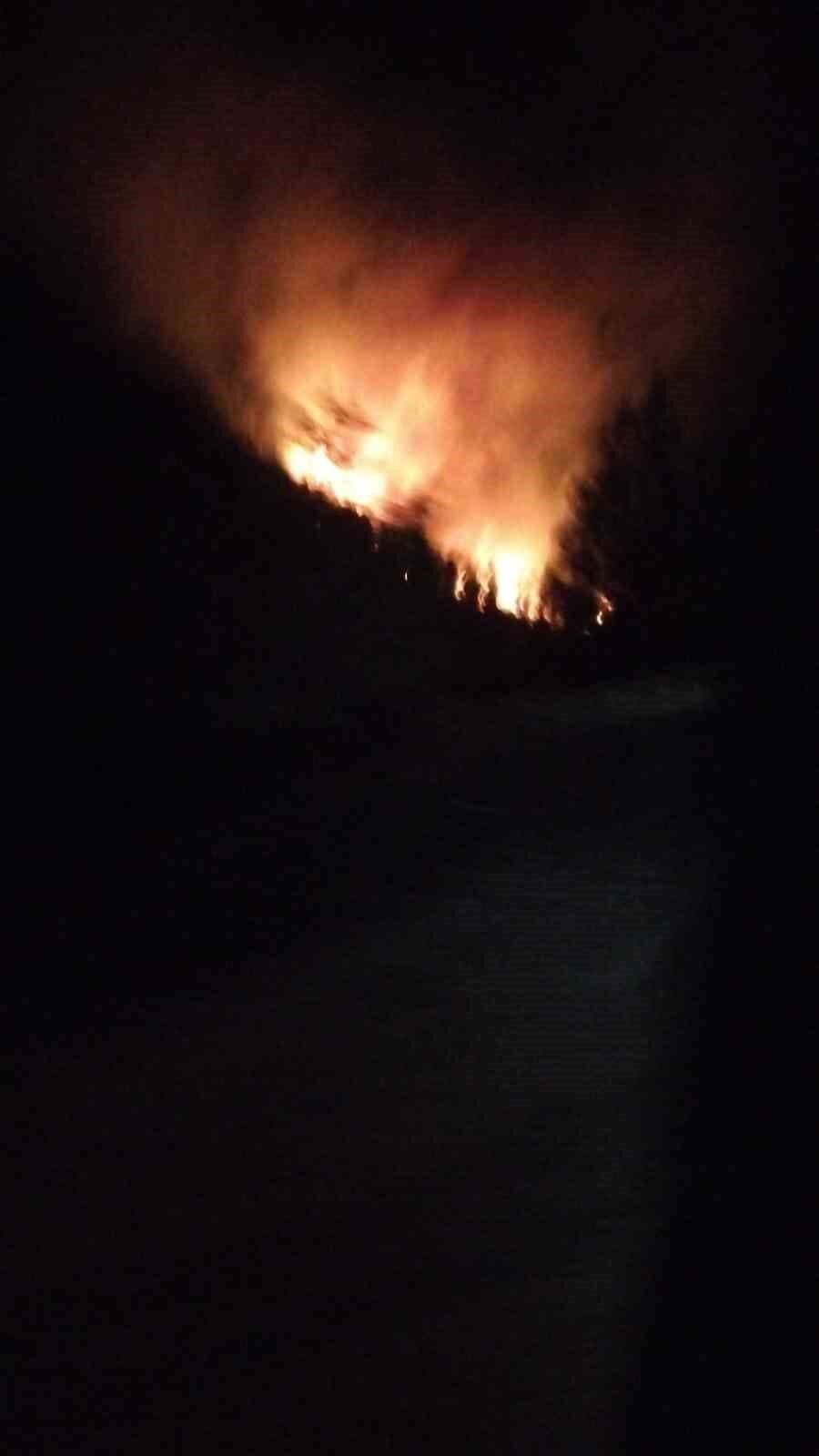 Muğla’nın Köyceğiz ilçesi Akköprü Mahallesinde meydana gelen orman yangınına ekipler