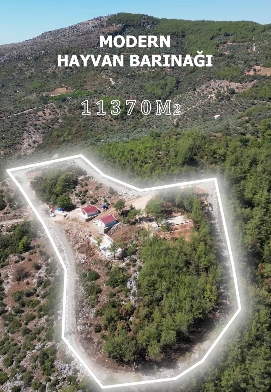 Adana’nın Kozan ilçesinde belediye tarafından hayata geçirilen modern hayvan barınağı