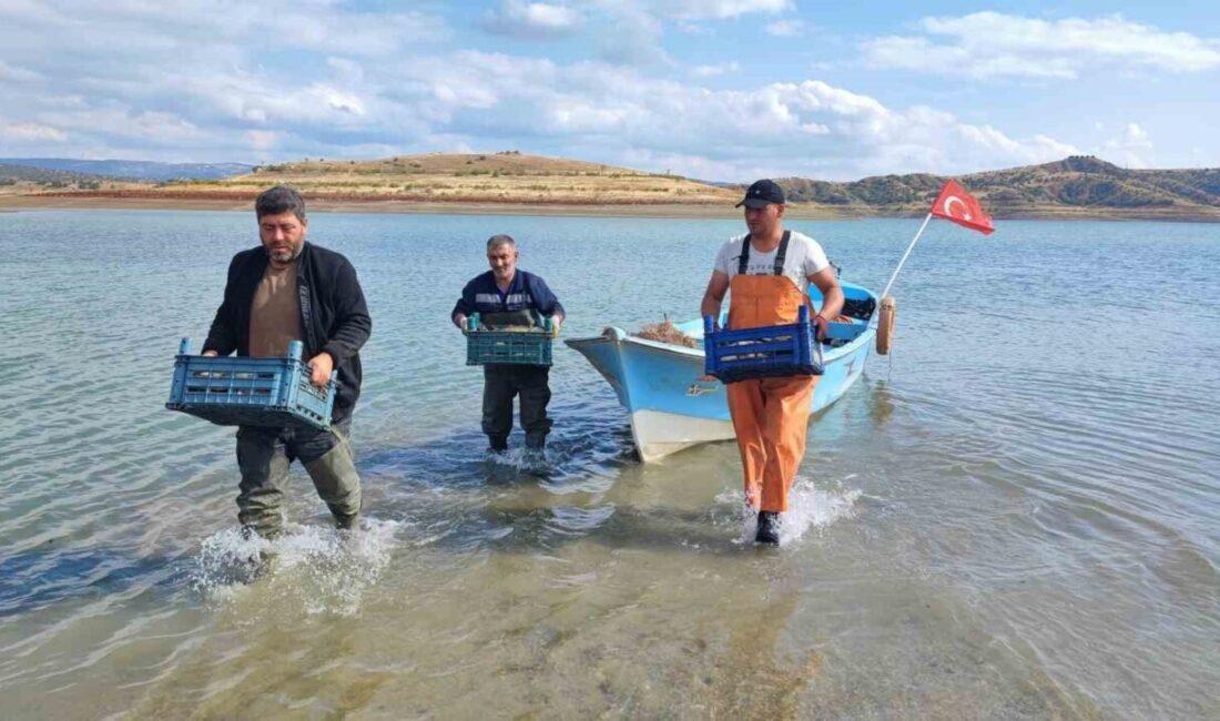 Yozgat’ın Çekerek ilçesinde bulunan Çekerek Barajı’nda su seviyesinin düşmesi, bölgede