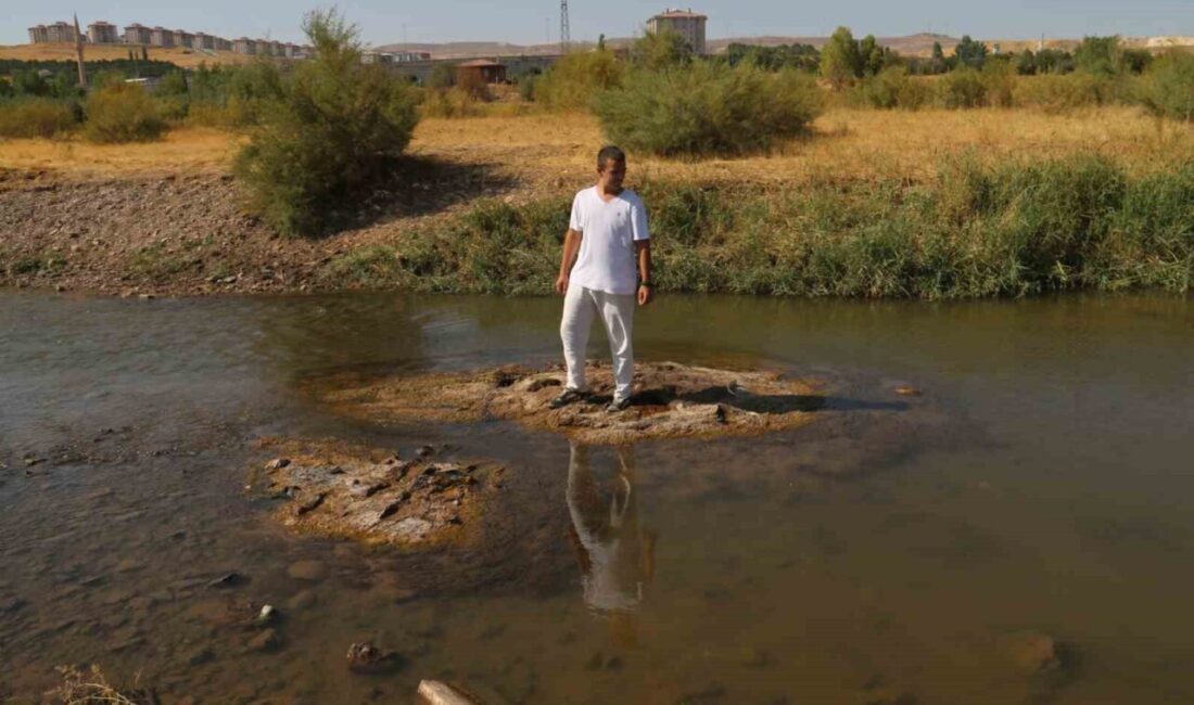 Türkiye’nin en uzun nehri olan Kızılırmak’ta su seviyesi alarm veriyor.