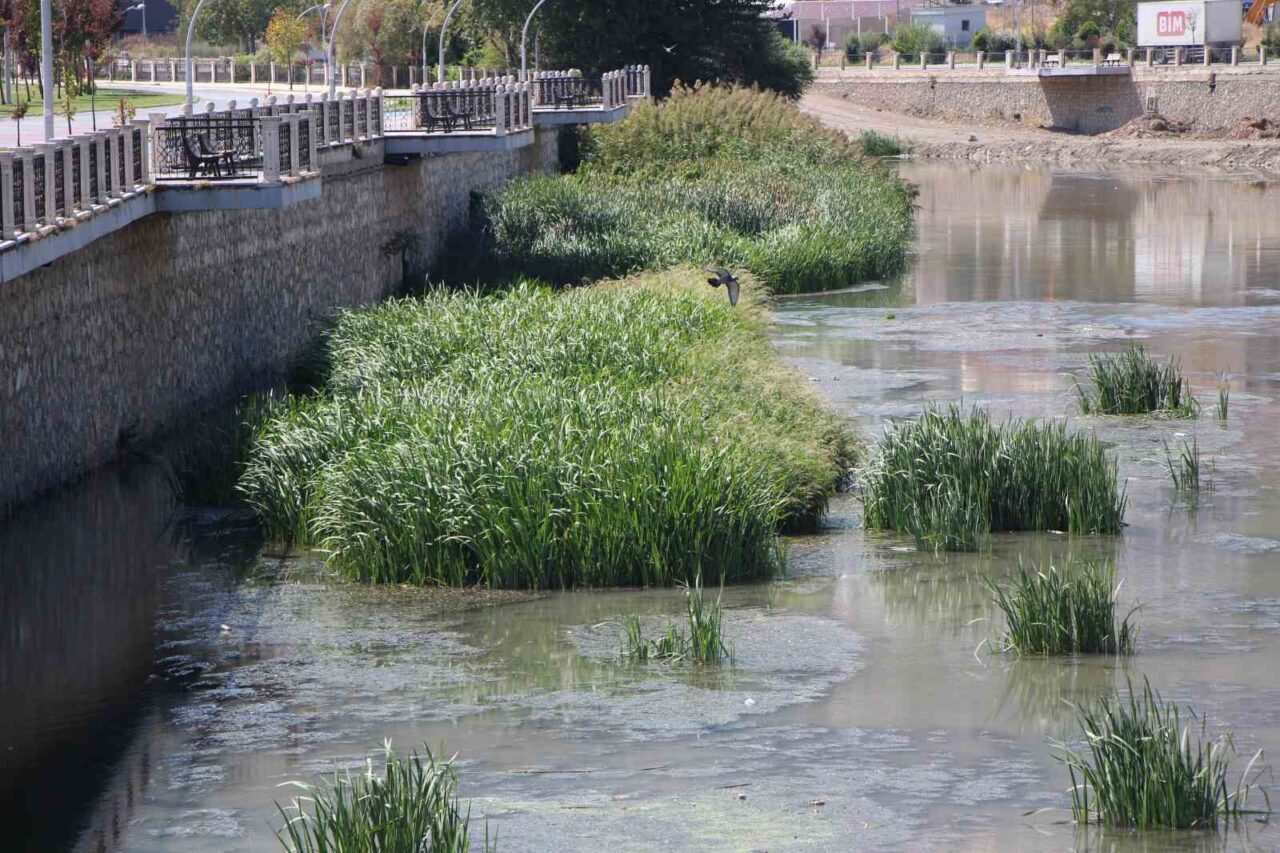 Türkiye’nin önemli akarsularından Yeşilırmak Nehri’nde azalan su seviyesi alarm veriyor.