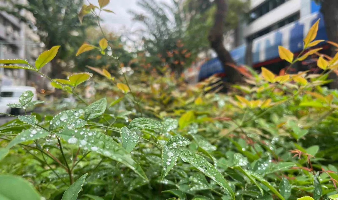 İzmir’de uzun bir aranın ardından etkili olan yağış kentte sevinçle