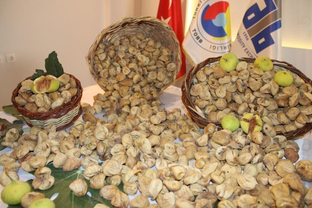 Dünyanın ve Türkiye’nin en kaliteli ve en fazla incirinin üretildiği