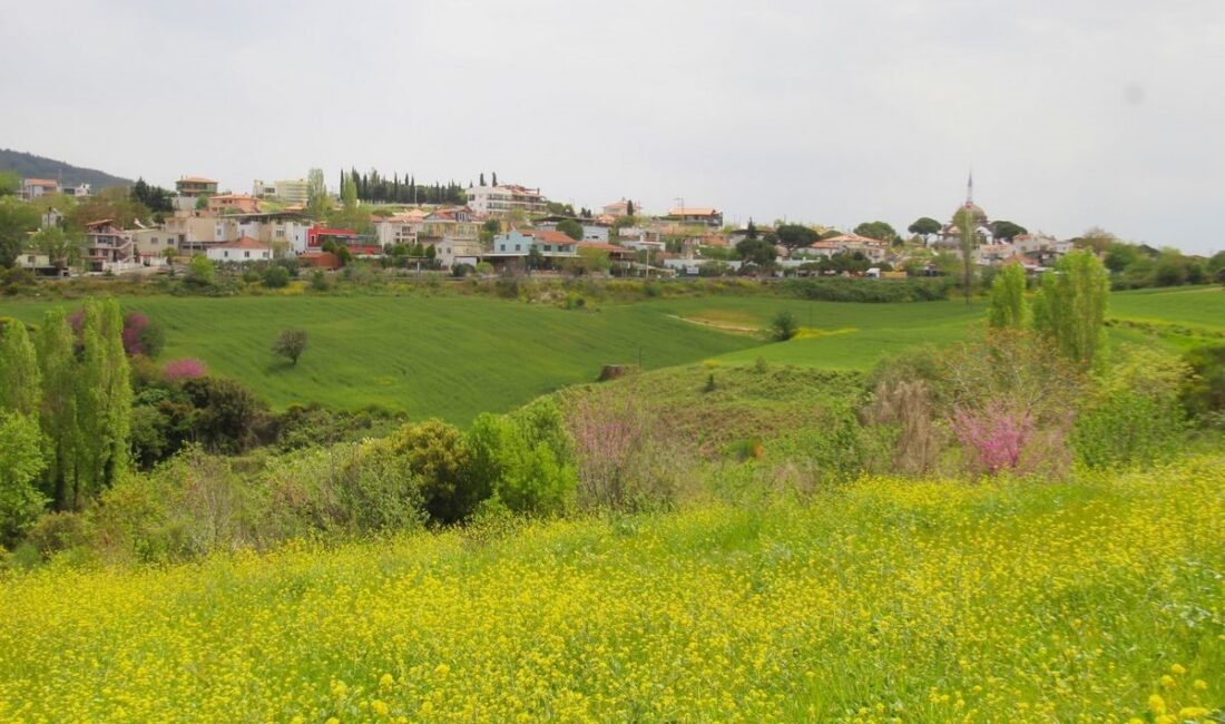 Ekosistemi Koruma ve Doğa Sevenler Derneği’nin (EKODOSD) Çarşamba Söyleşileri’nde bu