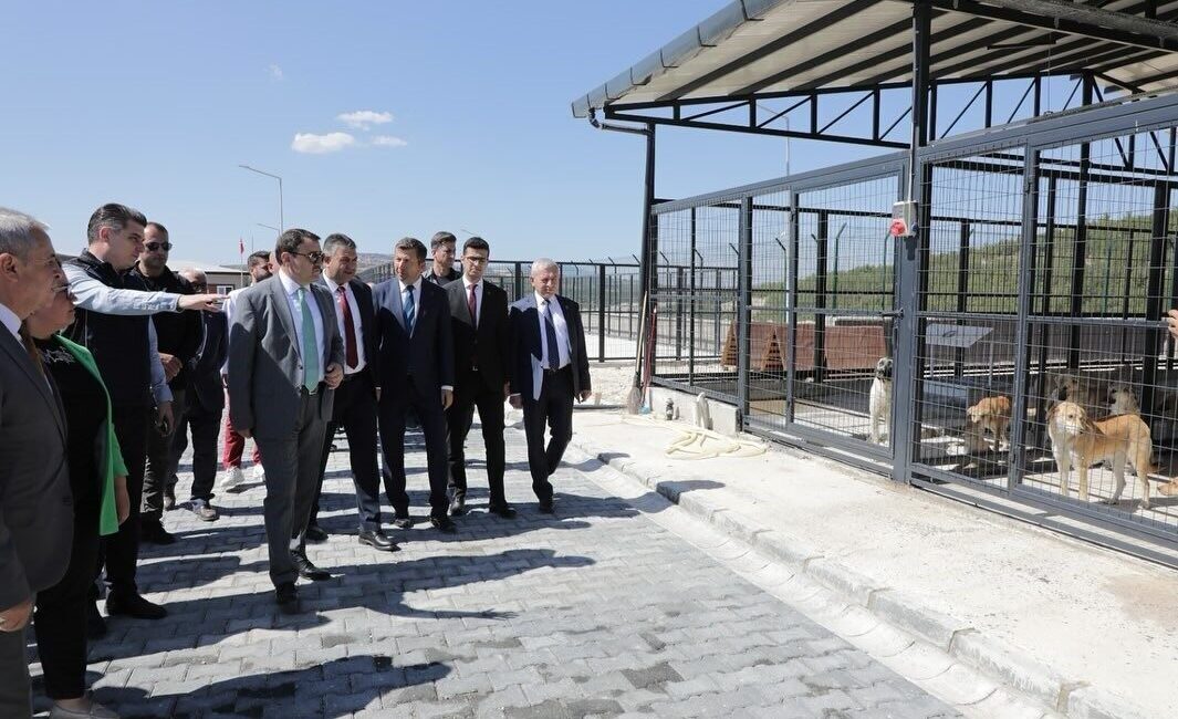 Kütahya Valisi Musa Işın, Şaphane ilçesinde yapımı tamamlanan hayvan barınağında