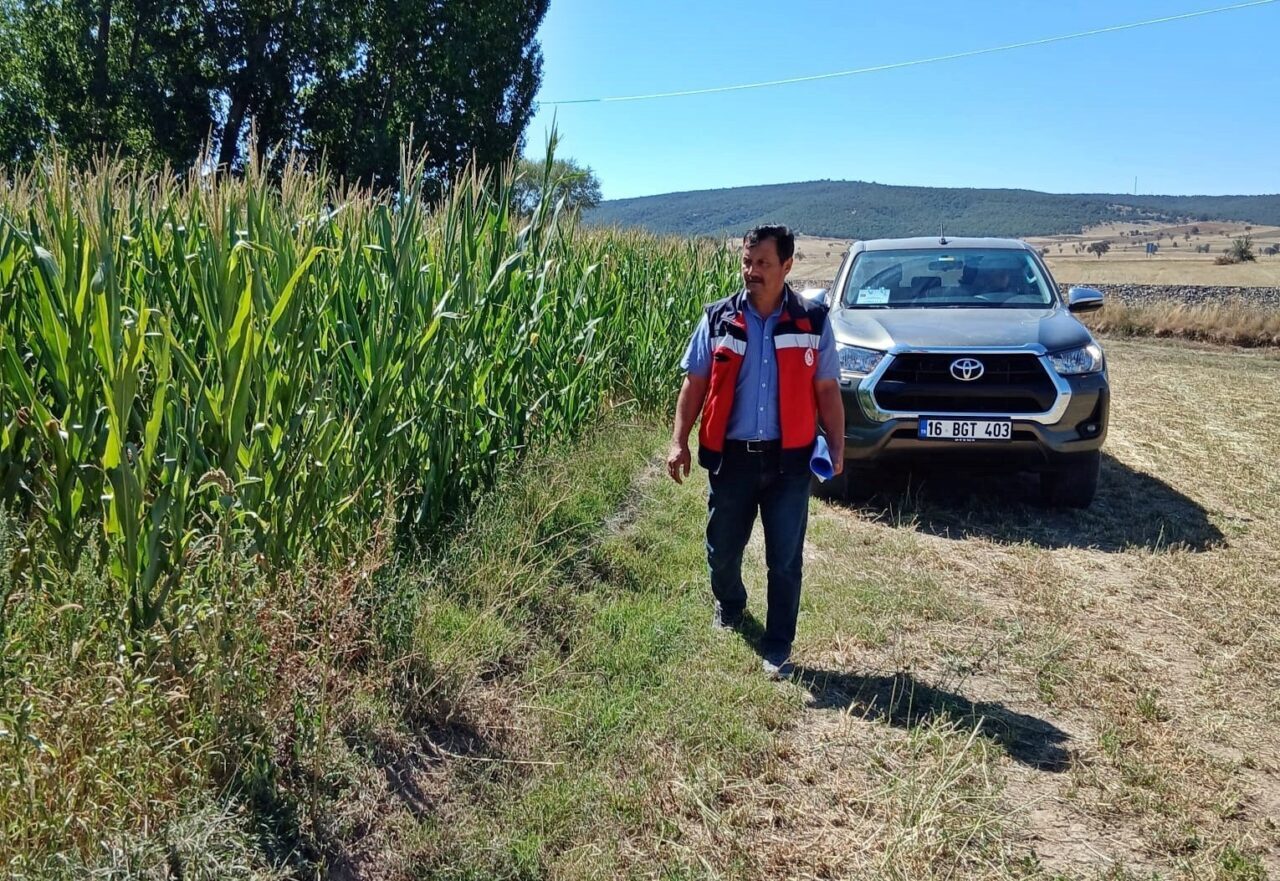 Kütahya İl Tarım ve Orman Müdürlüğü personeli tarafından silajlık mısır