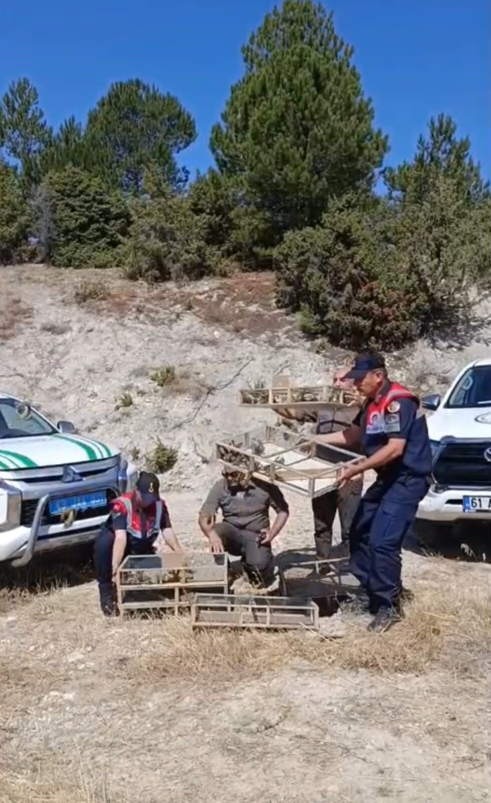 Kütahya’nın Gediz ilçesinde kaçak avcılık yoluyla yakalanan 142 saka kuşu,