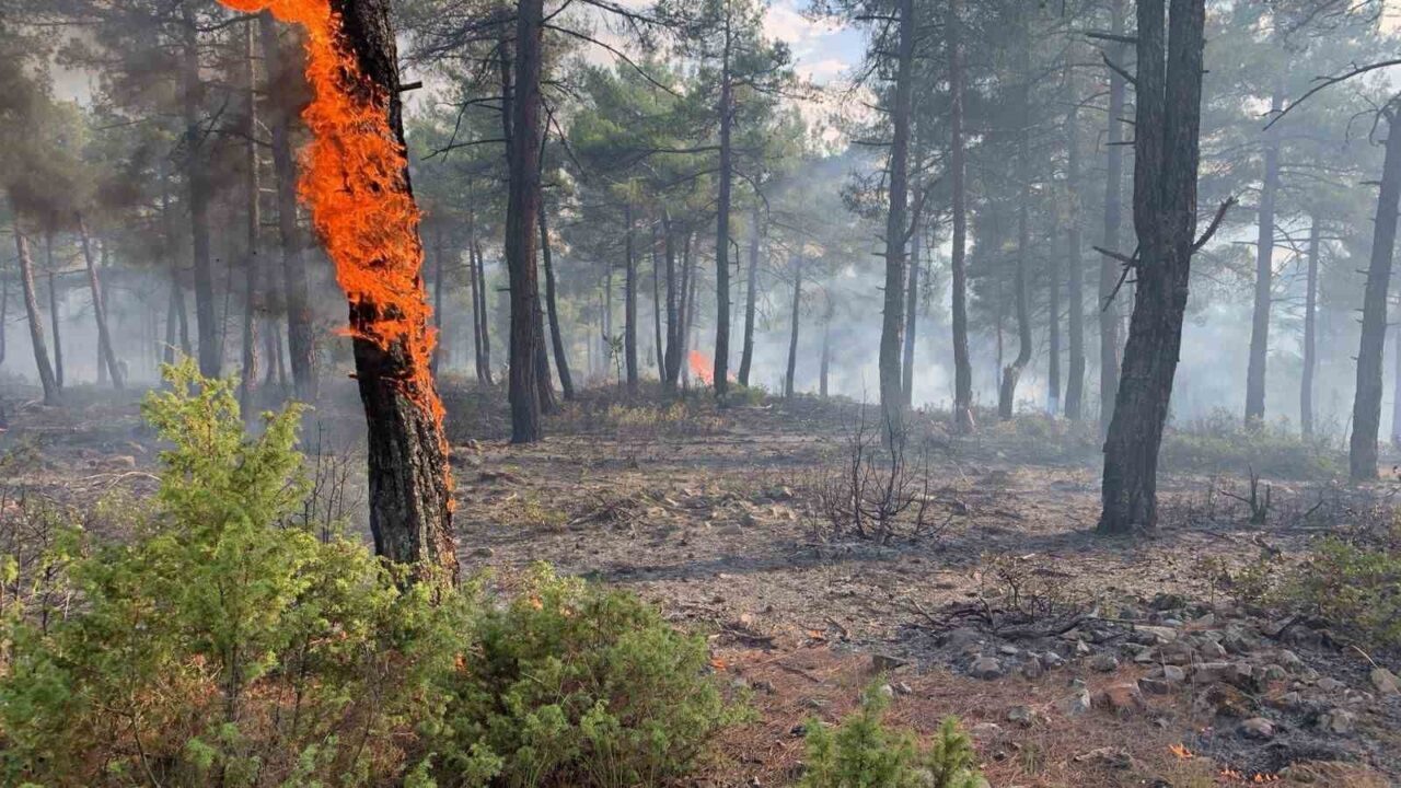 Kütahya’nın Tavşanlı ilçesine bağlı Kargılı köyü yakınlarındaki ormanlık alana yıldırım