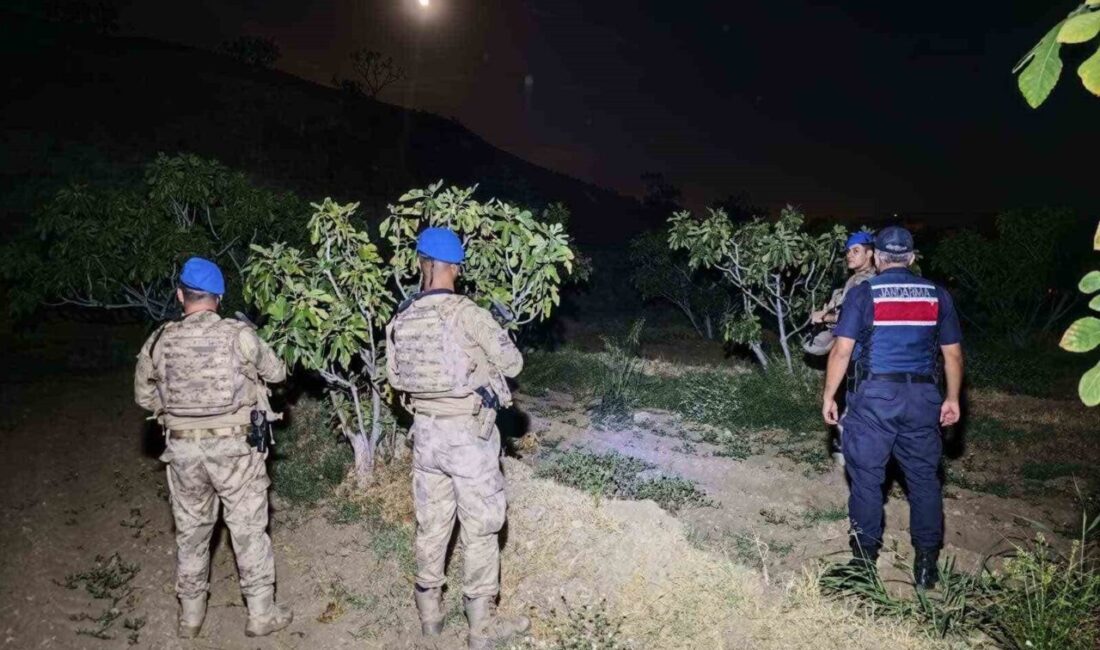 Aydın’ın Kuyucak ilçesinde jandarma ekipleri tarafından incir hırsızlığına karşı devriye