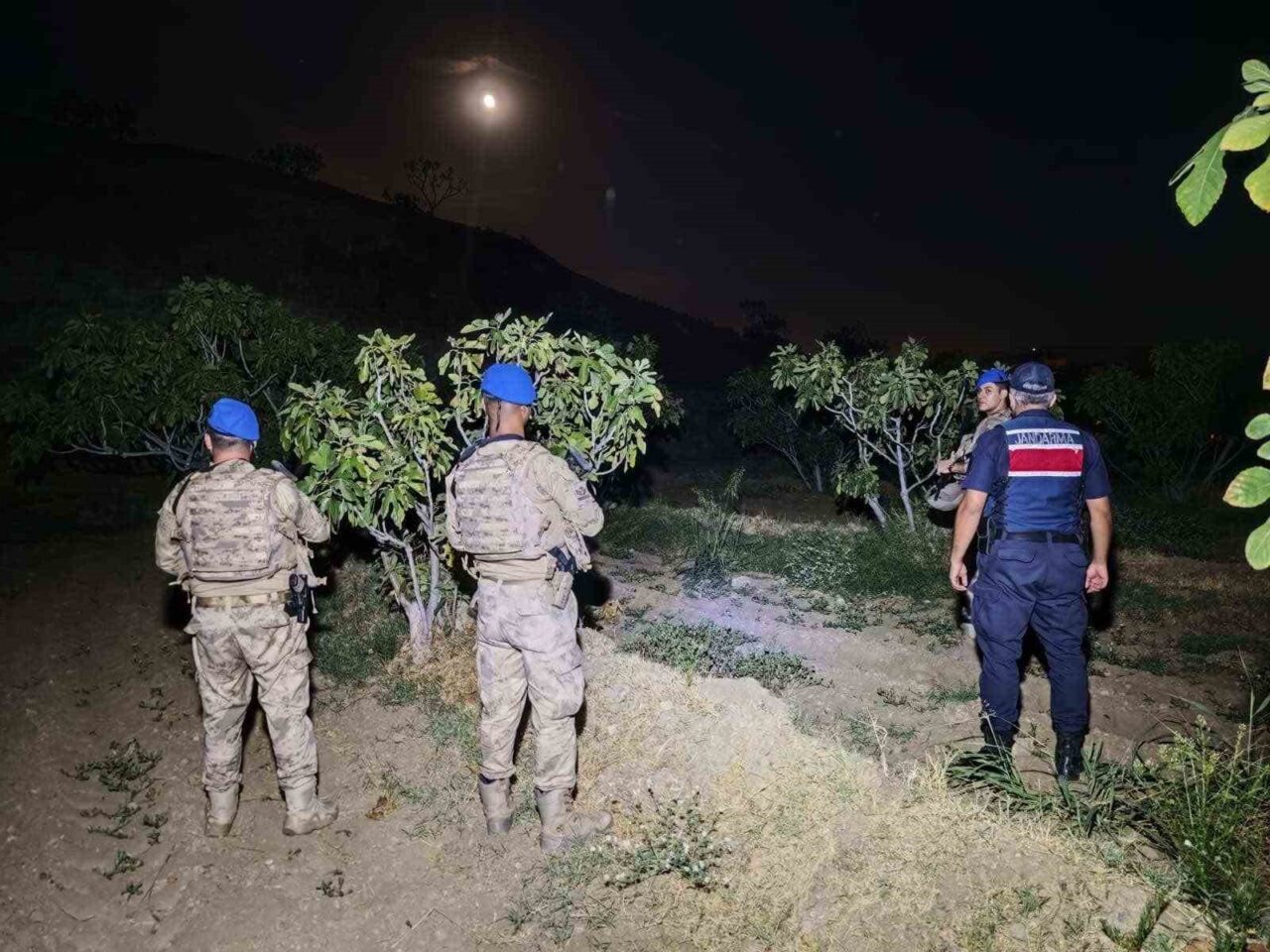 Aydın’ın Kuyucak ilçesinde jandarma ekipleri tarafından incir hırsızlığına karşı devriye