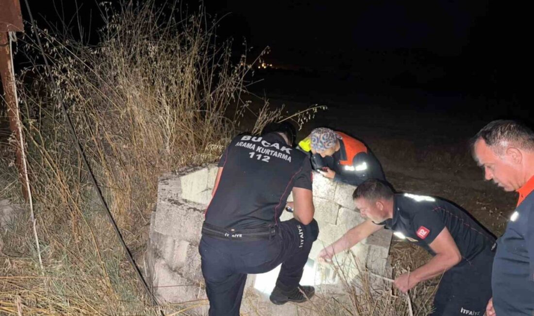 Burdur’un Bucak ilçesinde kuyuya düşen kedi, itfaiye ve AFAD ekiplerinin