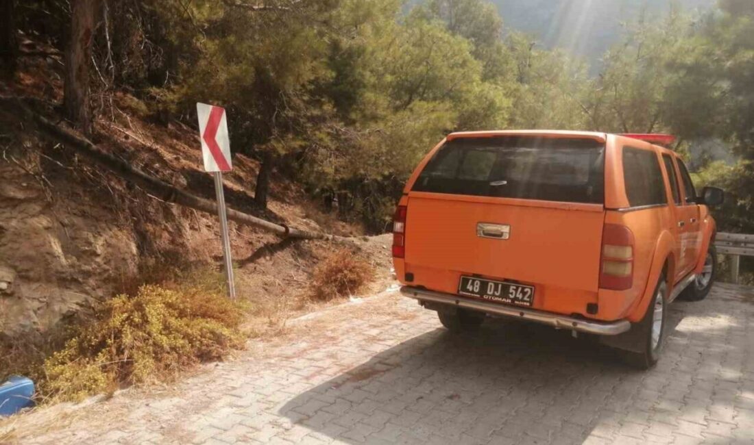 Muğla’nın Fethiye ilçesinde yürüyüş için Likya Yolu’na çıkan Çin uyruklu