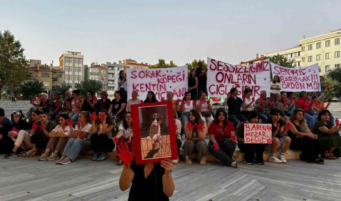 CHP’li Lüleburgaz Belediyesi binası önünde sokak hayvanları için 3 gündür