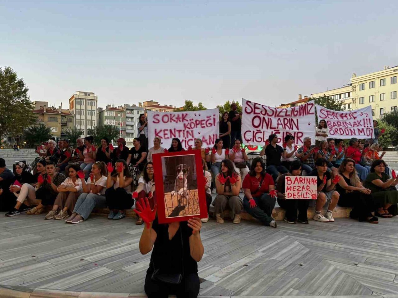 CHP’li Lüleburgaz Belediyesi binası önünde sokak hayvanları için 3 gündür