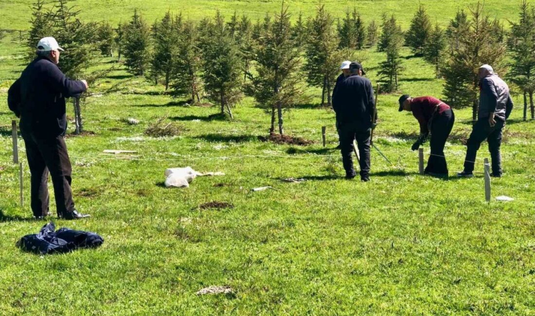Tokat’ın Reşadiye ilçesine bağlı Hebüllü Mahallesi’nde vatandaşlar imece usulüyle gölet