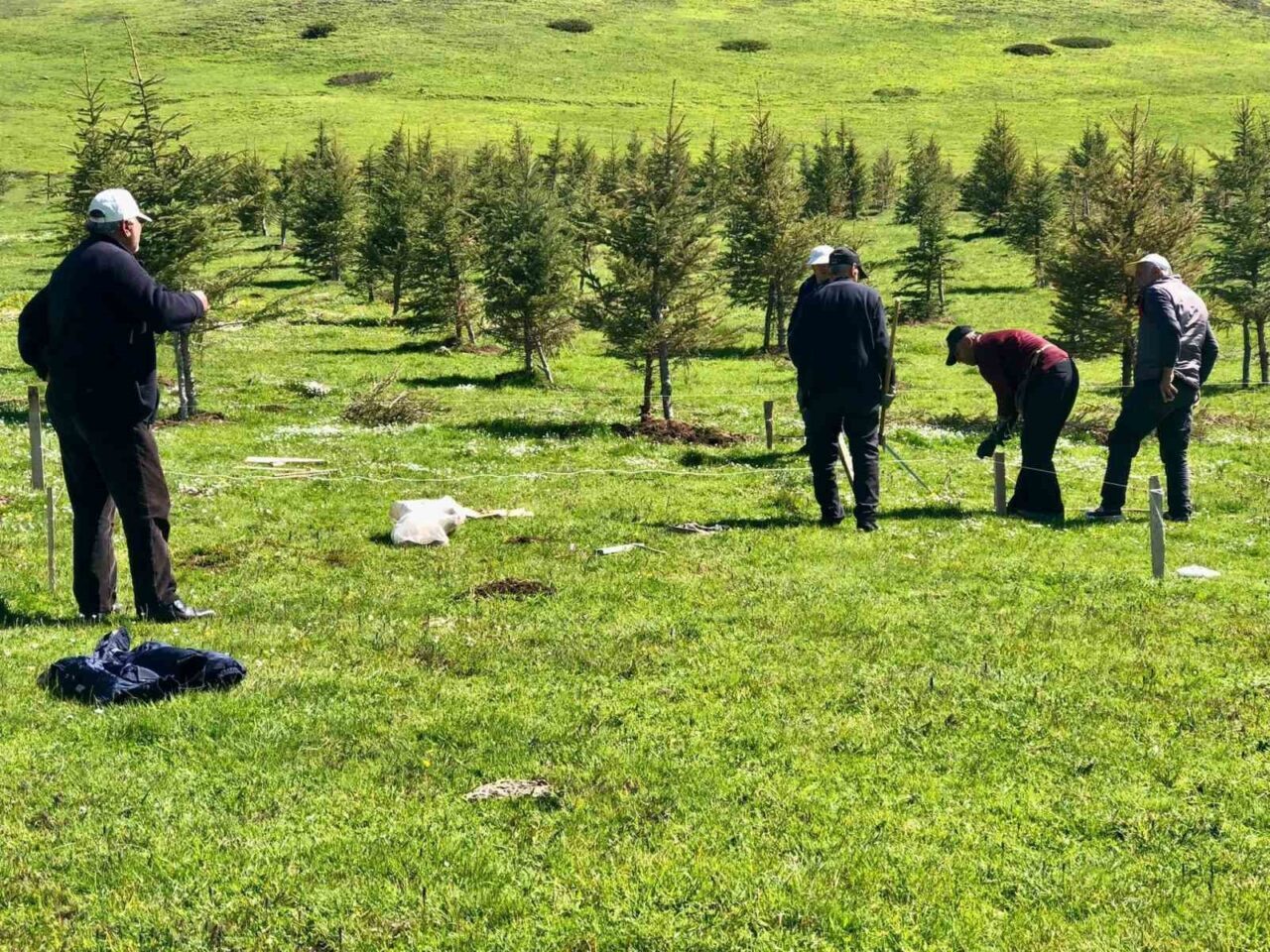 Tokat’ın Reşadiye ilçesine bağlı Hebüllü Mahallesi’nde vatandaşlar imece usulüyle gölet