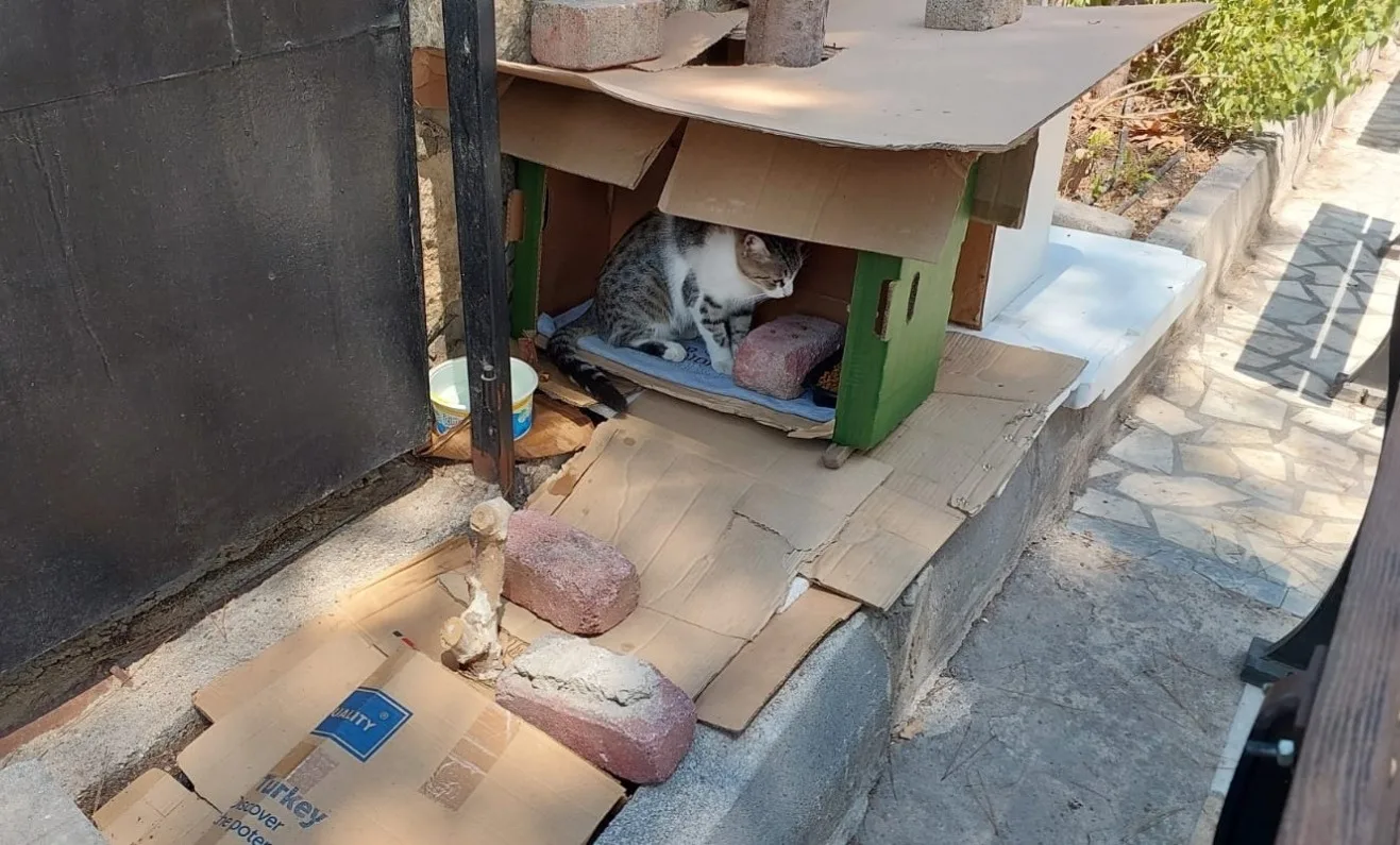 Antalya’da cami avlusunda bulunan mahalle sakinleri ve cemaatin bakımını yaptığı