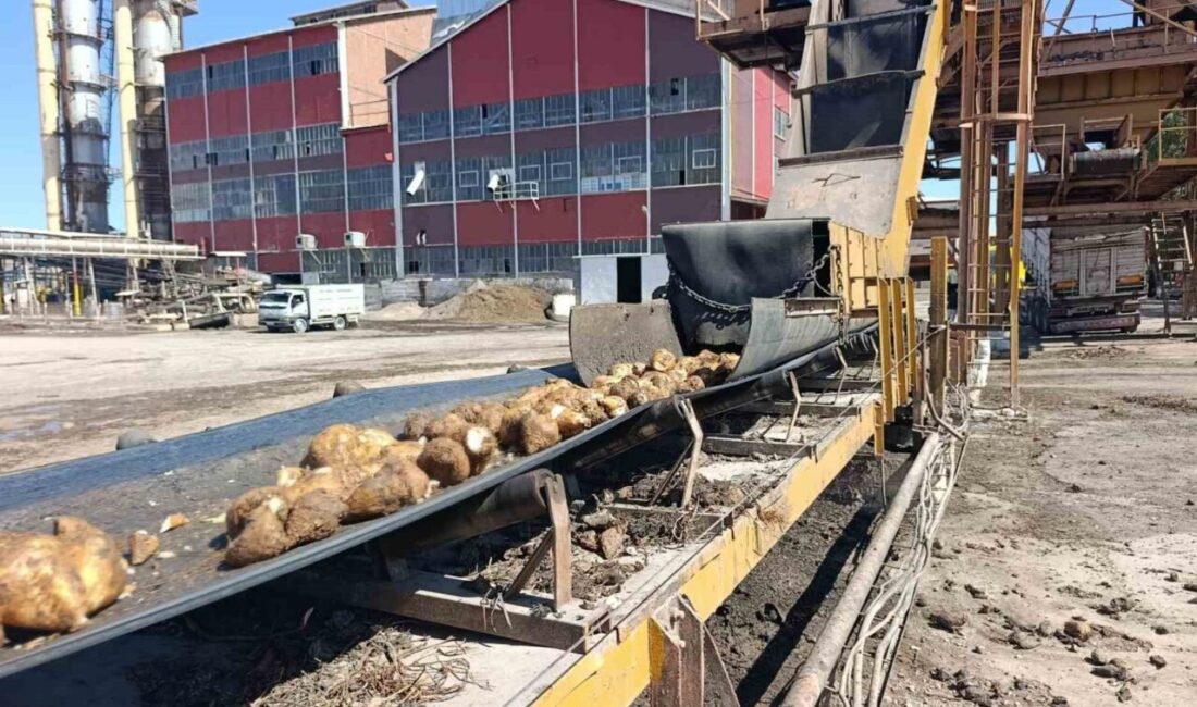 Bölgenin önemli şeker fabrikalarından Malatya Şeker Fabrikası, 2025-2026 üretim sezonunda