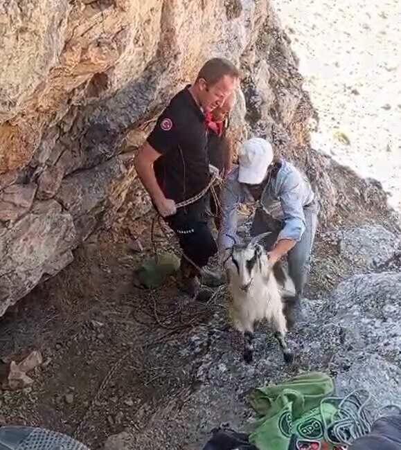 Malatya’nın Yeşilyurt ilçesi Salkonak Mahallesi’nde mahsur kalan keçiler kurtarıldı. Malatya’nın