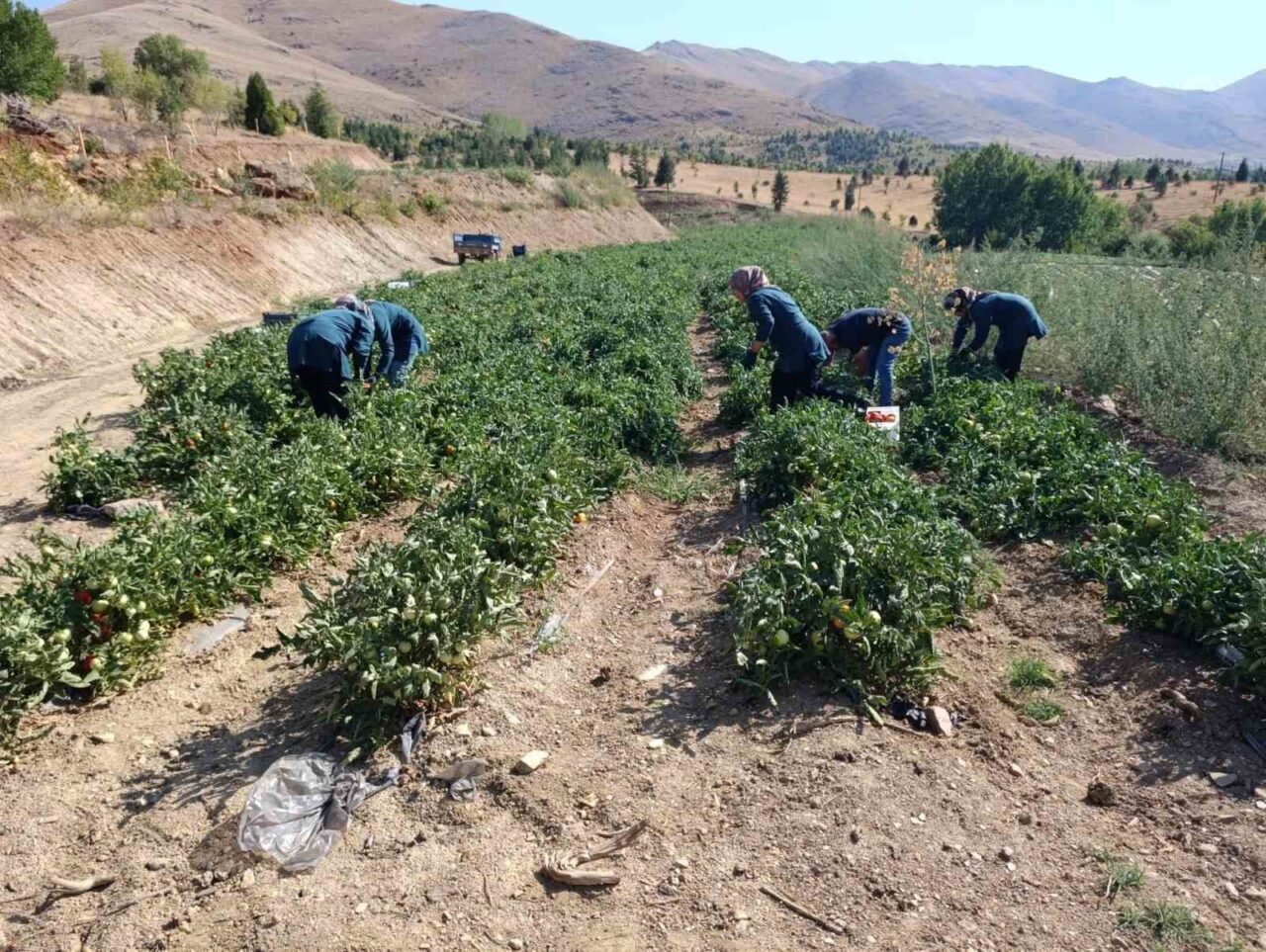 Malatya’nın Doğanşehir ilçesinde kadın girişimiyle kurulan Zeynep Ana Kadın Kooperatifi