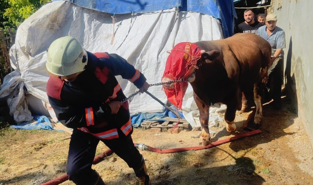 Malatya’da bir ahırda çıkan yangın itfaiye tarafından söndürüldü. Olay, 10.30