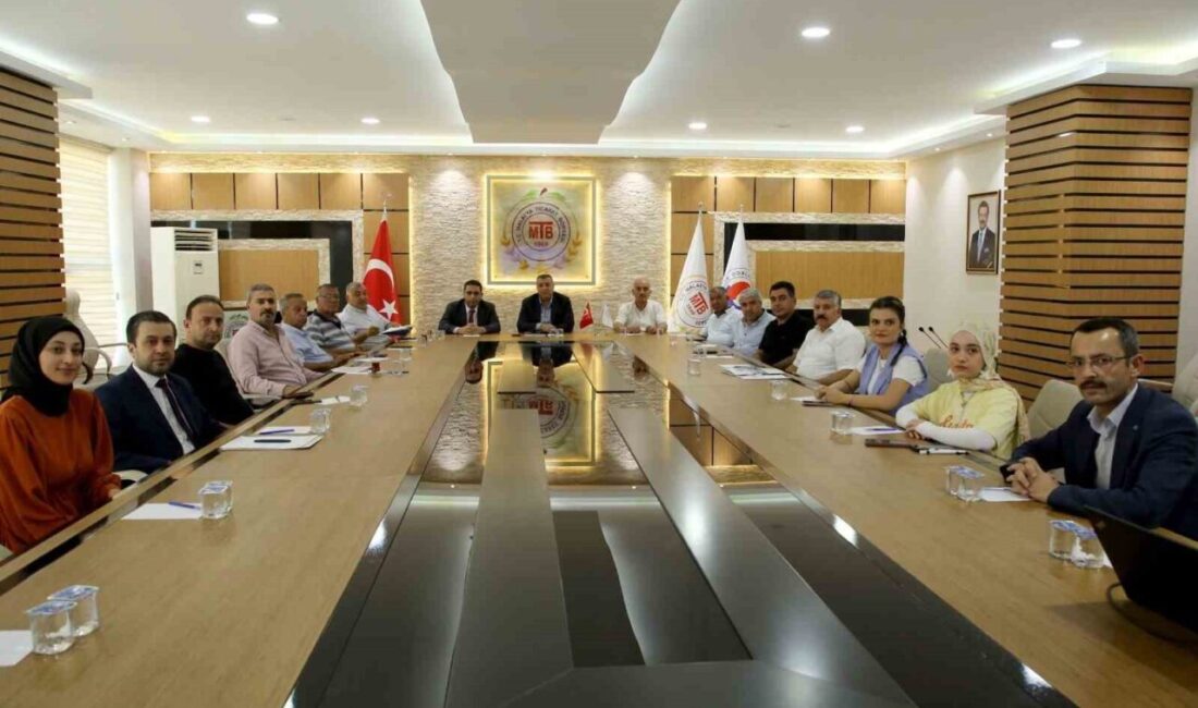 Sanayi ve Teknoloji Bakanlığı Kalkınma Ajansları Genel Müdürlüğü koordinasyonunda faaliyetlerini