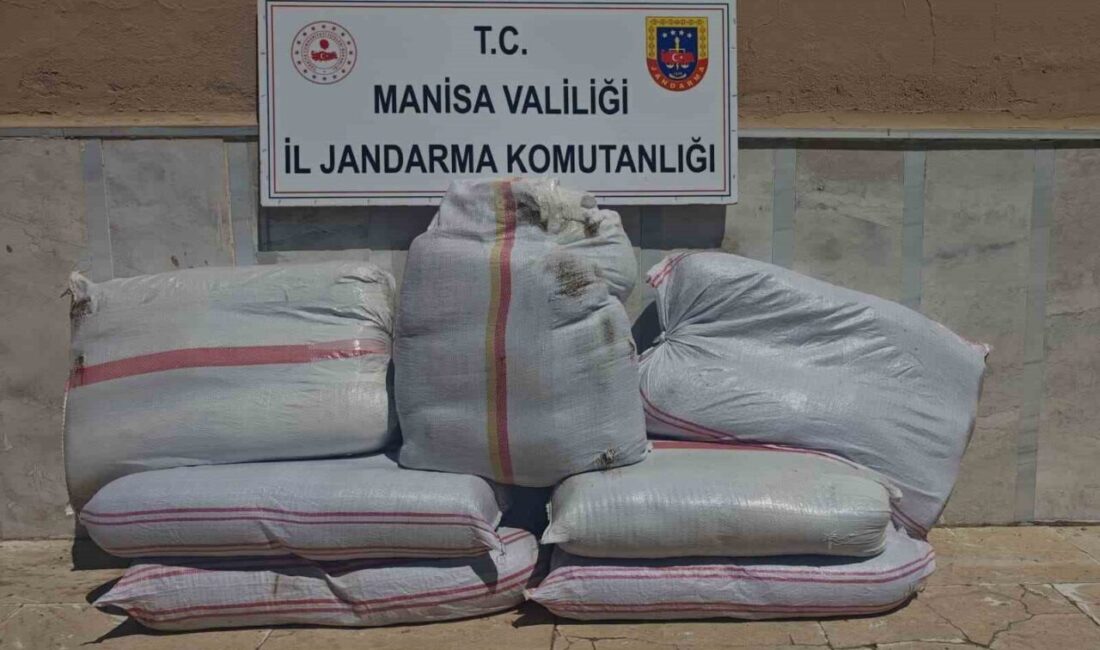 Manisa’da jandarma ekiplerinin yol kontrolünde durdurduğu bir araçta 350 kilo