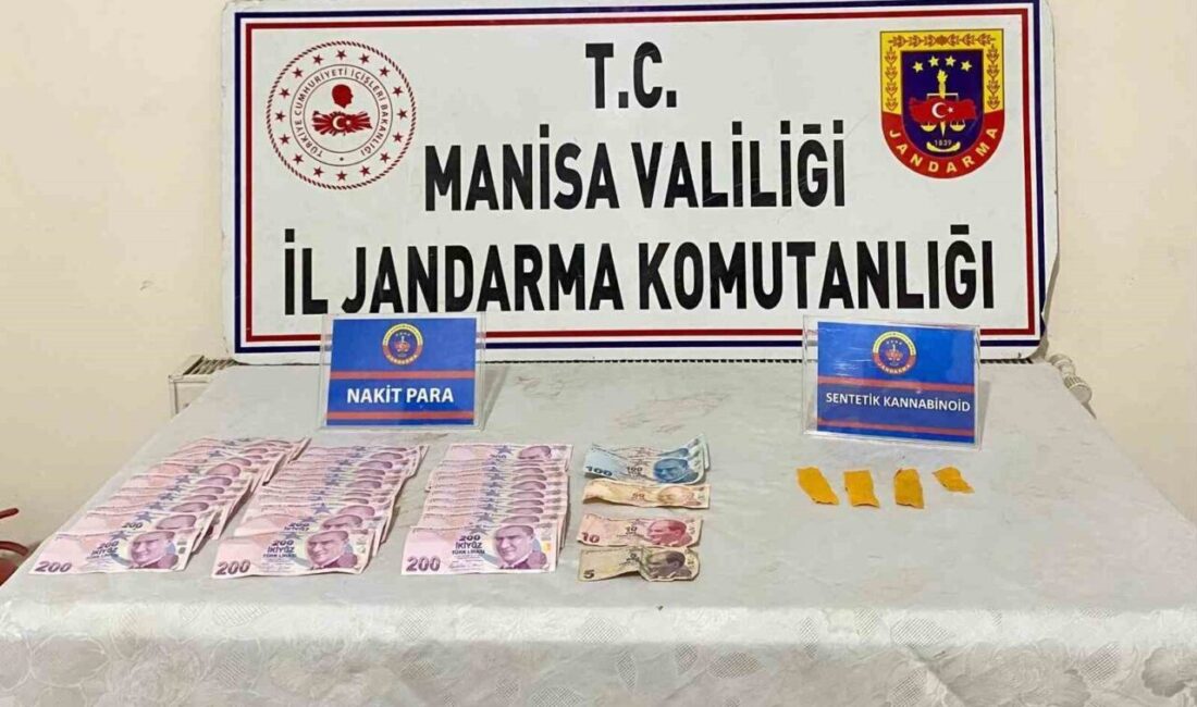 Manisa’nın Salihli ilçesinde jandarma ekipleri tarafından düzenlenen operasyonda 64 kök