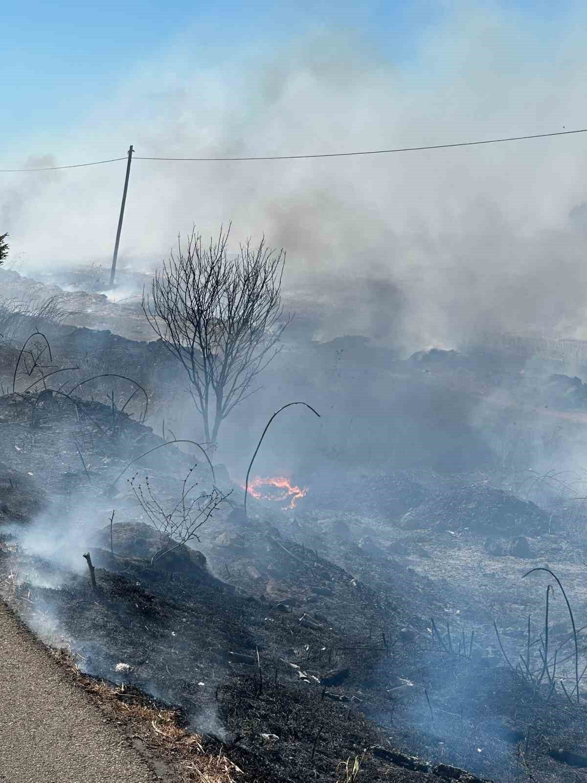 Balıkesir’in Bandırma ilçesi Susurluk kara yolunda, Manyas Kuş Cenneti yakınlarında