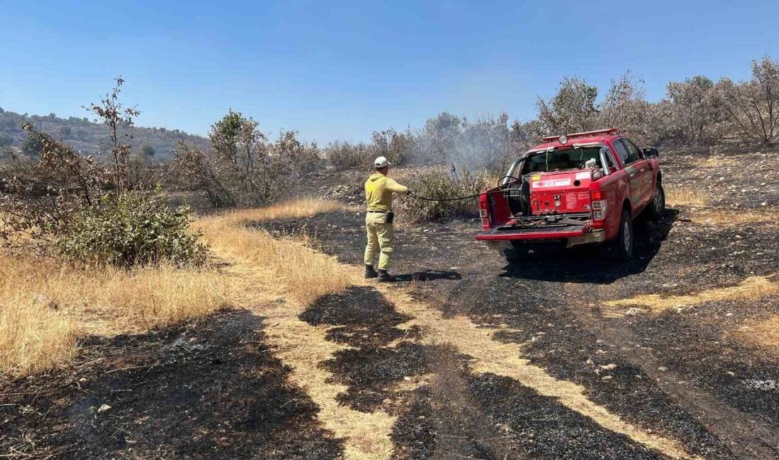 Mardin’in Savur ilçesinde ormanlık alanda çıkan yangın, ekiplerin müdahalesiyle söndürüldü.