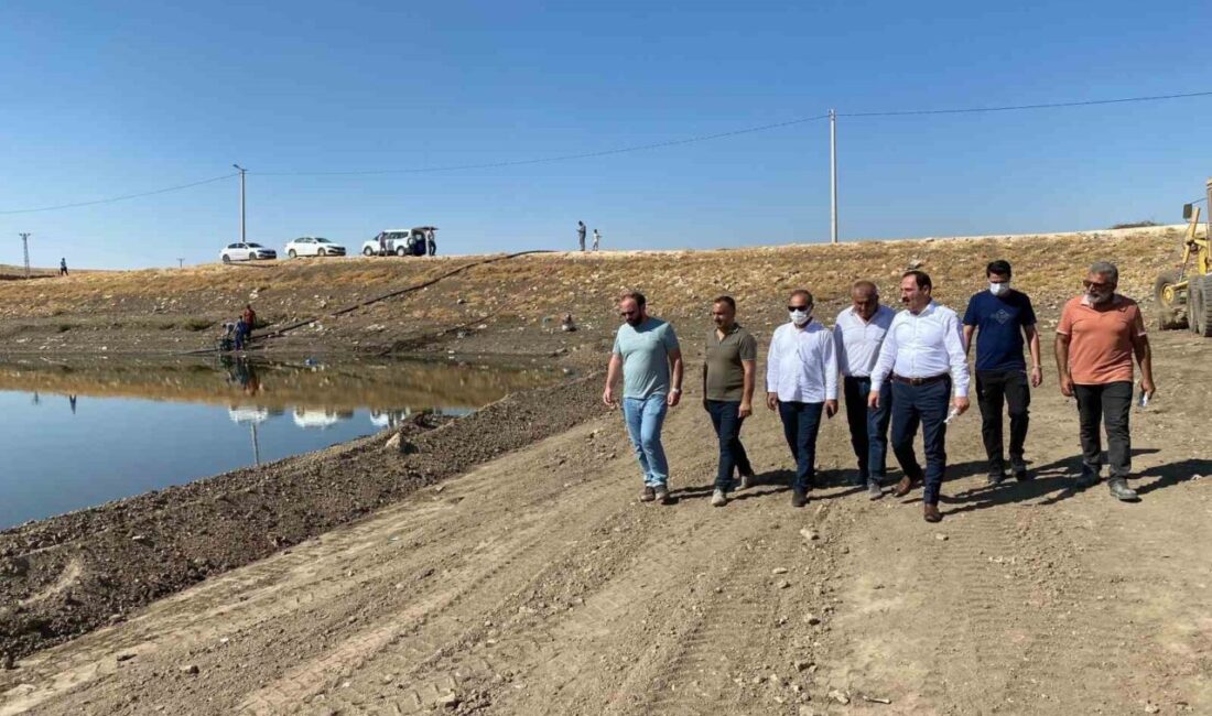 Mardin’in Mazıdağı ilçesi Şanlı Mahallesi’nde bulunan ve gölet olarak kullanılan