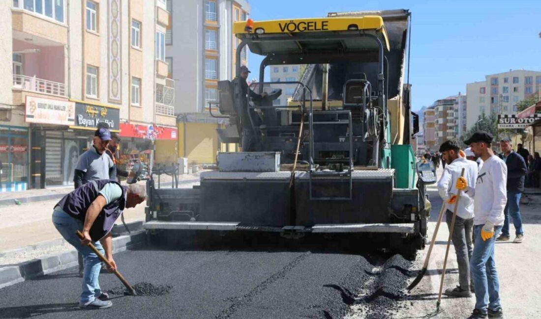 Van Büyükşehir Belediyesi tarafından kent genelinde sürdürülen yol yapım ve