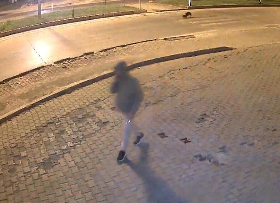 Kahramanmaraş’ın Göksun ilçesinde meydana gelen olayda bir marketin önünde patlayıcı