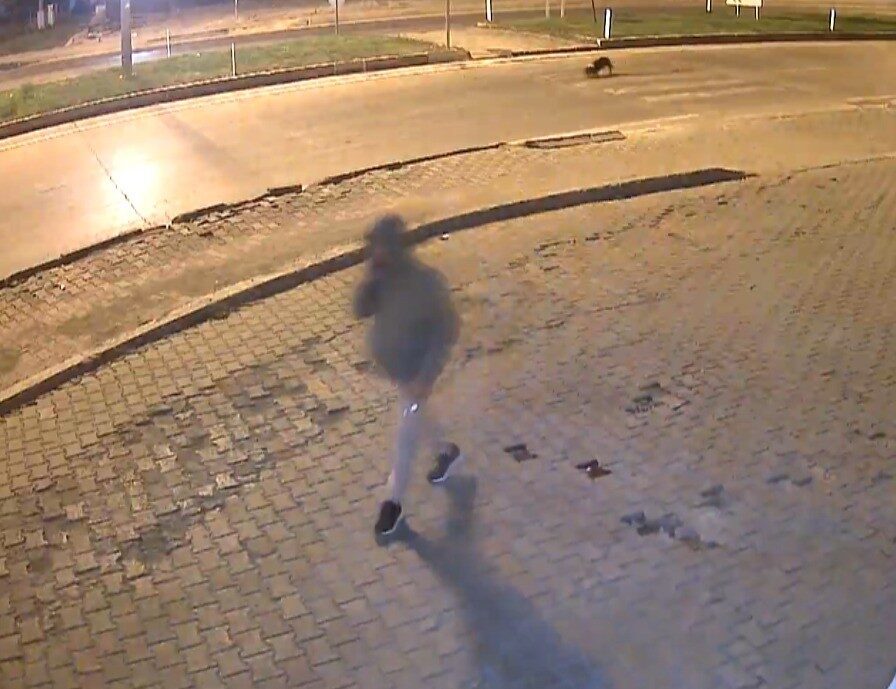 Kahramanmaraş’ın Göksun ilçesinde meydana gelen olayda bir marketin önünde patlayıcı