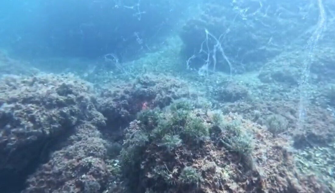 Marmara Denizi’nde yeniden ortaya çıkan müsilaj sorununa dikkat çeken Bandırma