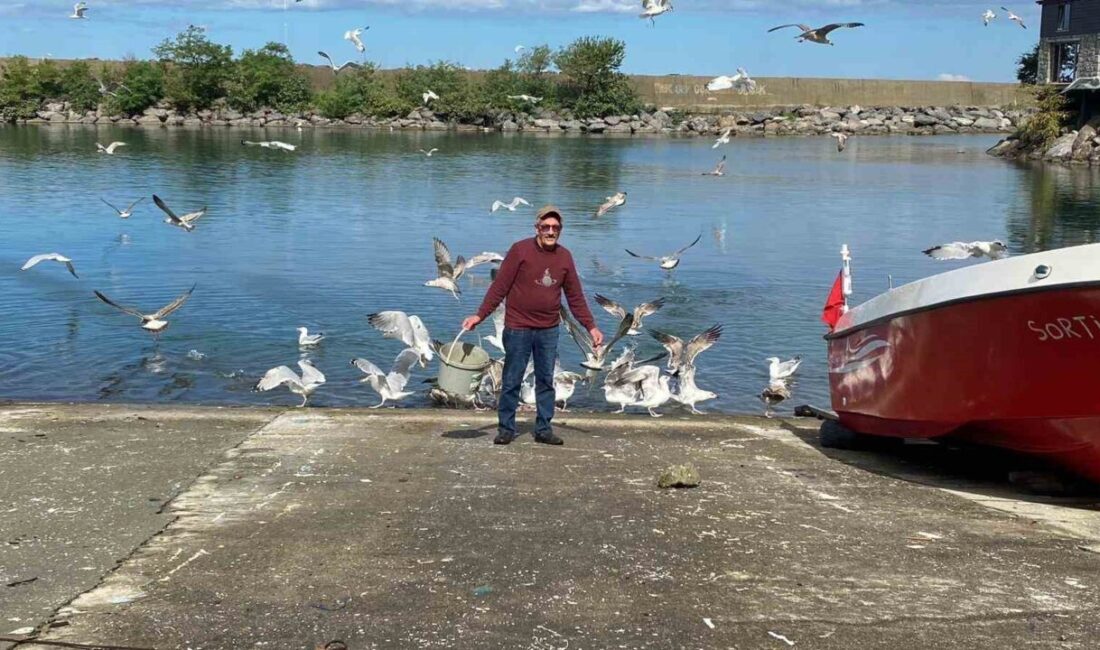 Artvin’in Kemalpaşa ilçesinde bir restoranda balık ustası olarak çalışan 65