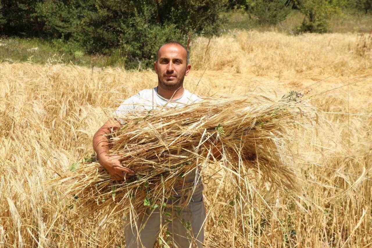 Yıllarca yaşadığı megakent İstanbul’dan memleketine dönüş yaparak tarım ve hayvancılık