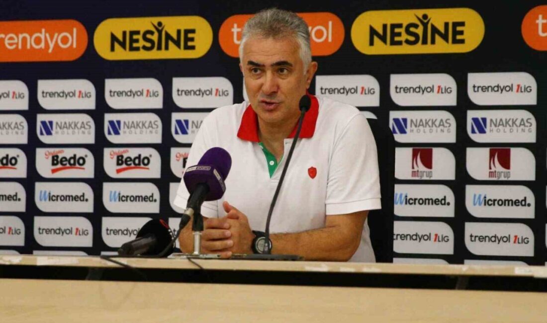 Amed Sportif Faaliyetler Teknik Direktörü Mehmet Altıparmak, Adana Demirspor maçının