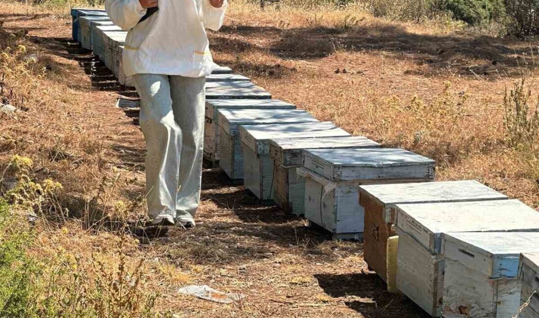 Muğla’nın Menteşe ilçesinde Tarım ve Orman Müdürlüğü ekipleri tarafından 2025