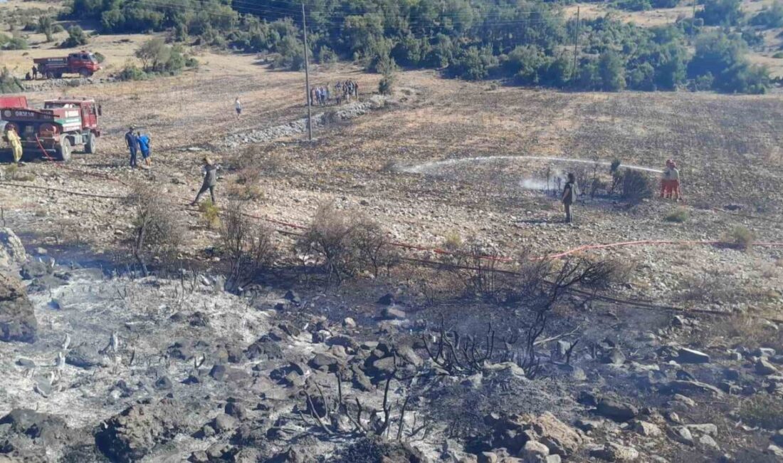 Muğla’nın Menteşe ilçesinde makilik alanda çıkan yangın ekiplerin hızlı müdahalesiyle