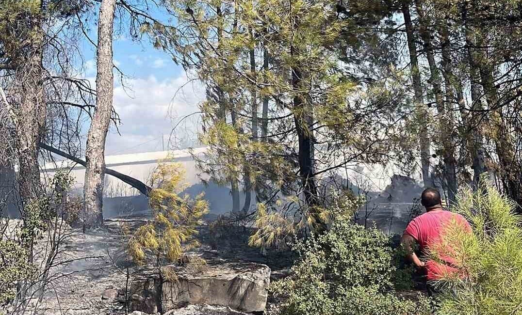 Muğla’nın Menteşe ilçesinde trafoda başlayan ve ormanlık alana sıçrayan yangın