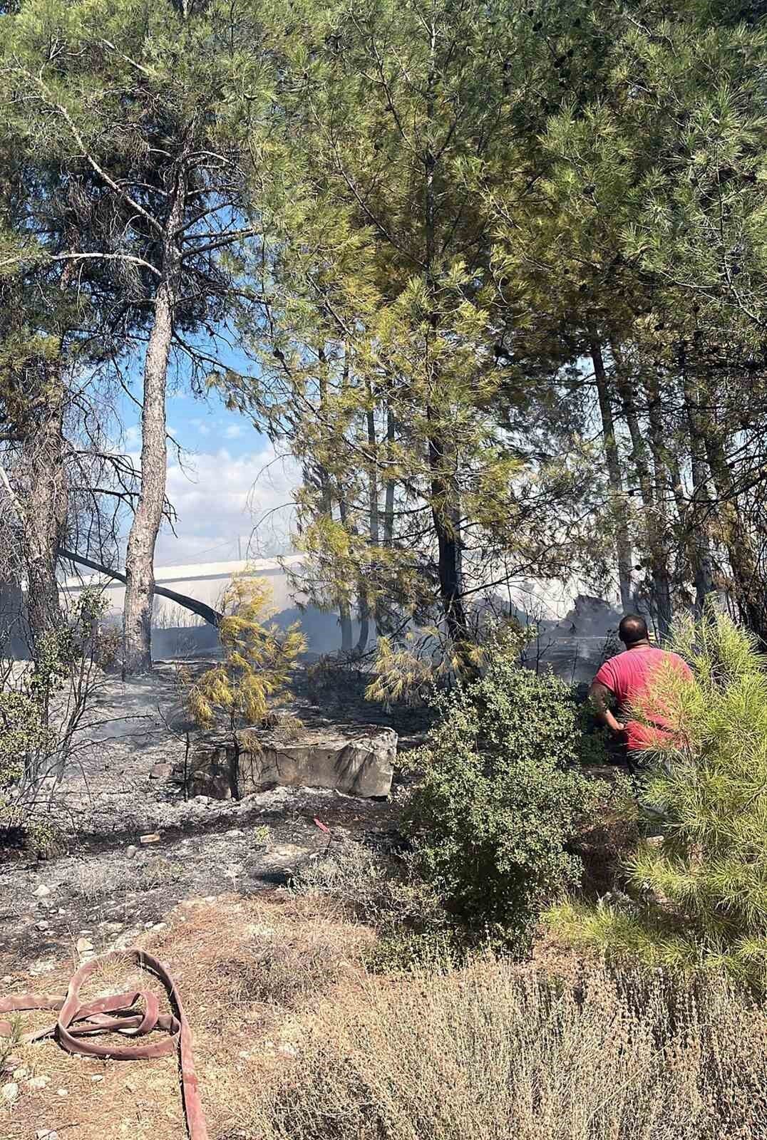 Muğla’nın Menteşe ilçesinde trafoda başlayan ve ormanlık alana sıçrayan yangın