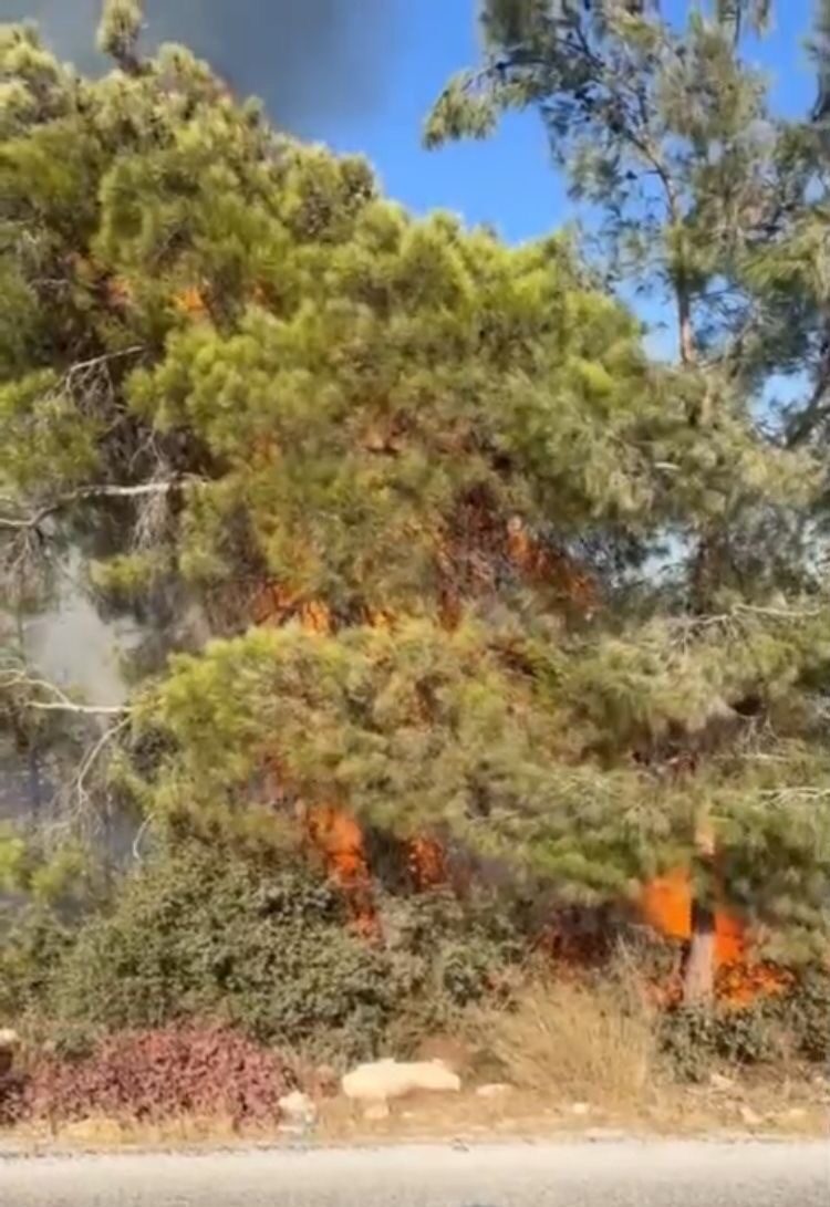 Mersin’in Erdemli ilçesinde çıkan orman yangını büyümeden kontrol altına alınarak