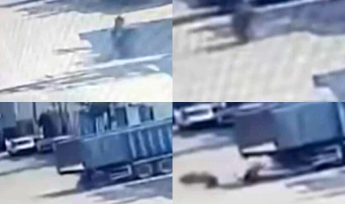 Mersin’de meydana gelen iki ayrı kazada 1 kişi hayatını kaybetti,