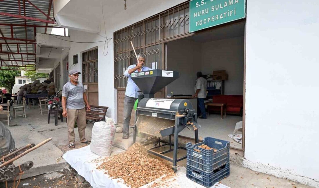 Mersin Büyükşehir Belediyesinin üreticilere sağladığı ‘badem kabuk soyma makinesi’ desteği,