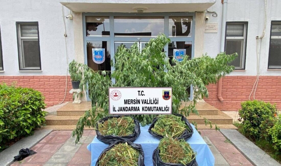 Mersin’de uyuşturucu madde ticareti yapan şahıslara yönelik düzenlenen operasyonlarda çok