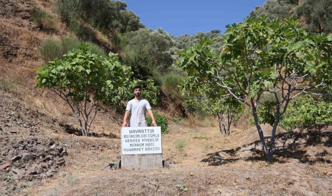 Aydın’da pek çok ürünün hasat sezonunda çiftçilerin en büyük sıkıntısı
