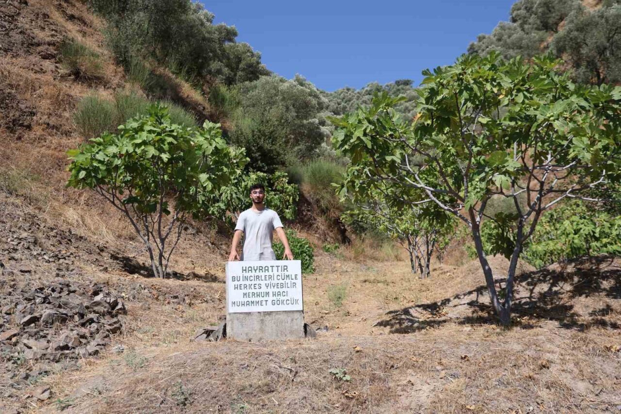 Aydın’da pek çok ürünün hasat sezonunda çiftçilerin en büyük sıkıntısı
